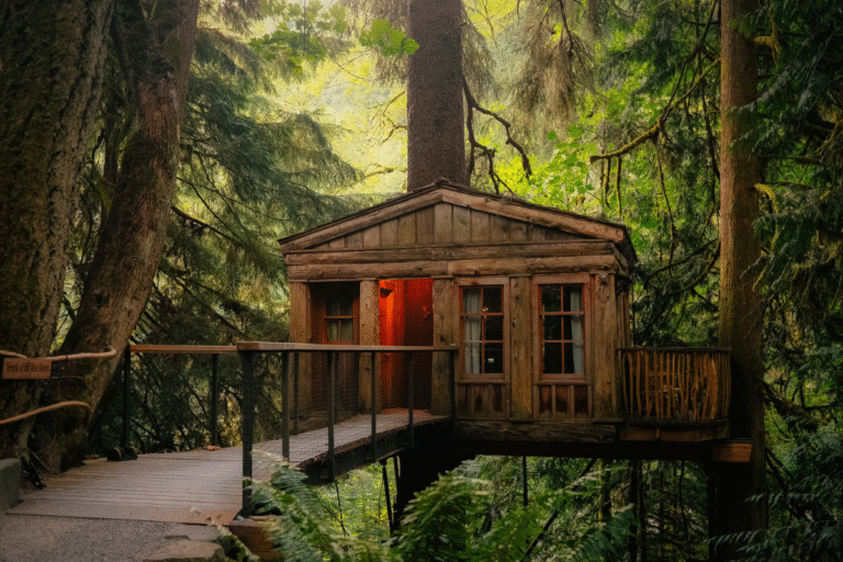 Treehouse Rentals